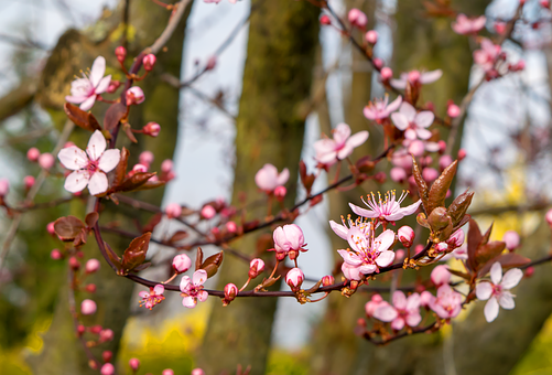 旧爱|三天后,陌上花开,湿透面颊,挚爱归来,破冰复合,爱情修成正果