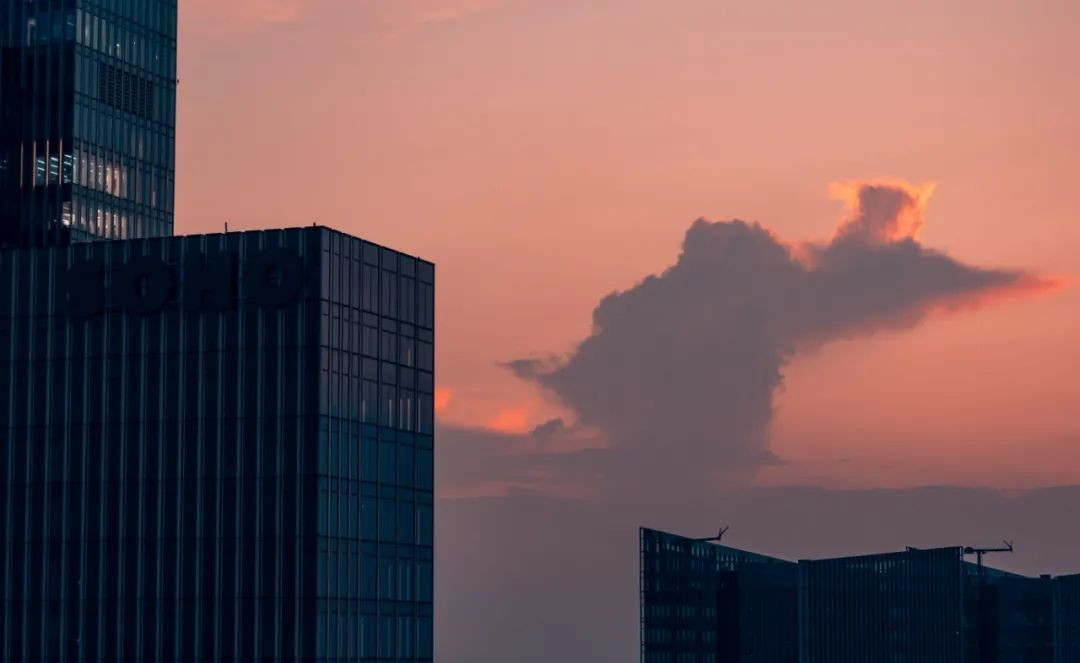 荔波|40℃！这是高温下的南京……也是一道热辣的风景线