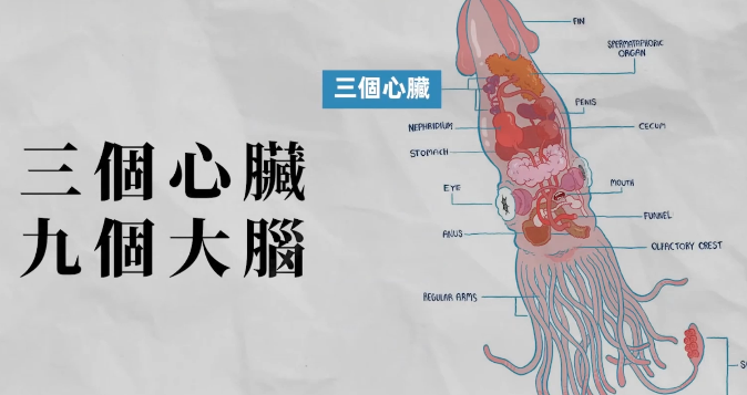 什么是星体投射?灵魂与肉体的关系?你的超感知能力?