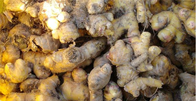 高血脂|肝不好的人，这几类“伤肝菜”最好少吃，可能加重肝脏负担！