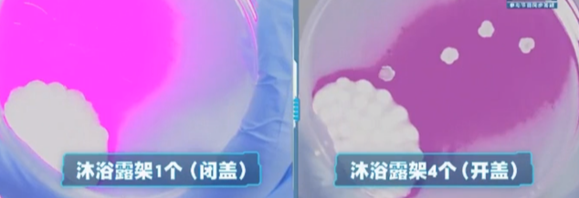 冲马桶一定要盖马桶盖!实验告诉你,冲马桶不盖马桶盖风险有多大