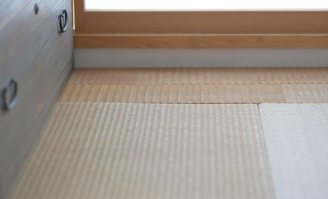 看了67岁阿姨的独居生活照:那叫一个雅致,拍照给大家瞧瞧,羡慕