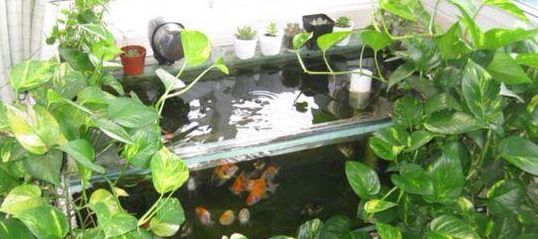 入住新房业主哭天嚎地！犯下20条装修致命错误，全是粗心惹的祸！