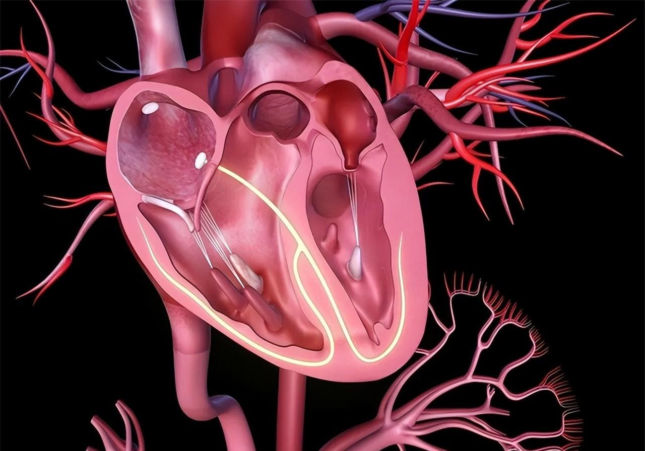 心脏病|为什么胸口会“刺痛”几秒？是心脏病吗？医生科普