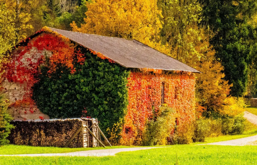 穿衣搭配 任何人都没资格“絮絮叨叨”