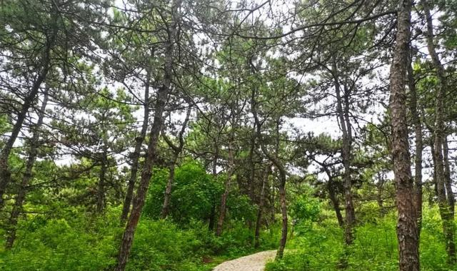 密云水库|京郊千岛湖，可以俯瞰密云水库的森林公园