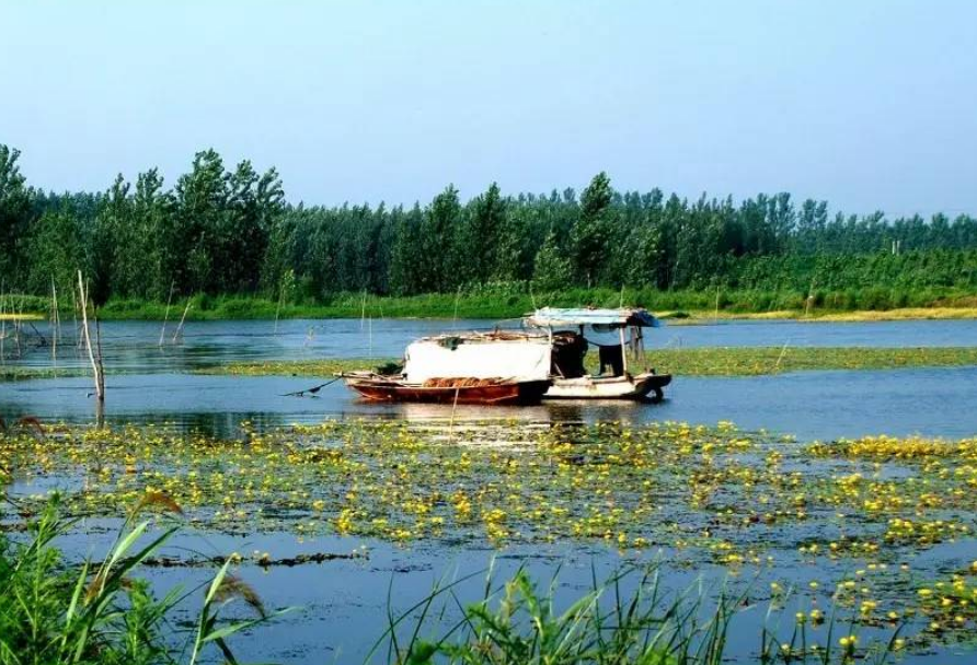 微山湖|微山湖是淡水湖，也是如今京杭大运河的主航道，素有荷都的美誉