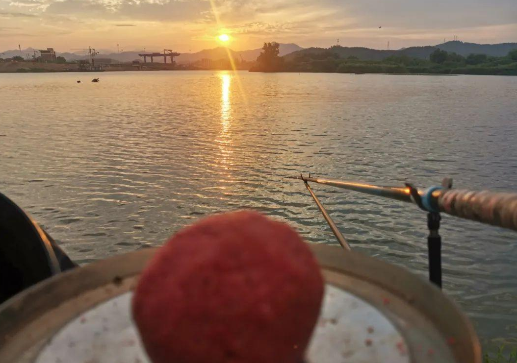 饵料|秋季夜钓的黄金时间？技术不够时间来凑，要相信大力出奇迹