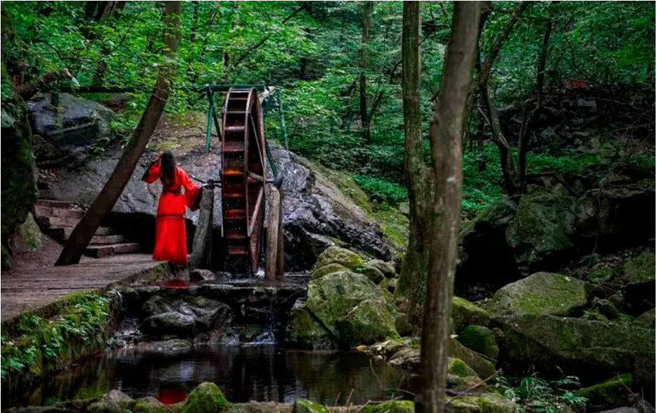 南阳|在南阳，都能看到哪些美景呢？一起去看看吧（二）