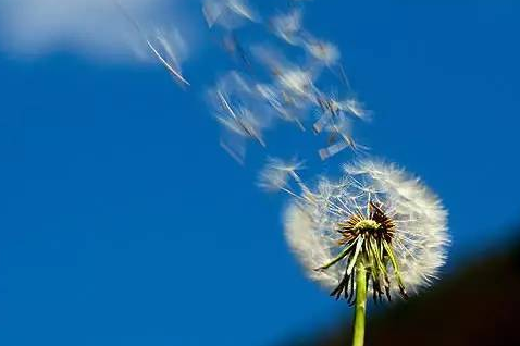 |生活真的很累，大家都过的怎么样了？