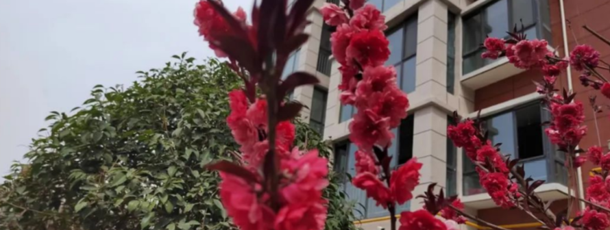 食神|子少或无子的命格