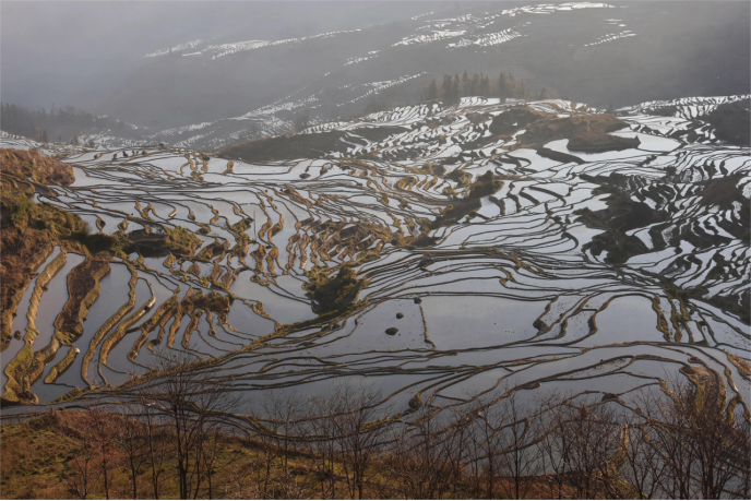 温泉|哈尼梯田，一层层金波，把整片大地都染成了金色