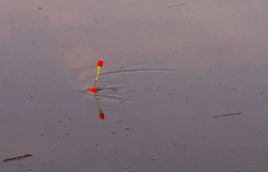 饵料|最受钓友喜欢的钓法，重铅沉底，适合多数钓点，拒绝小鱼！