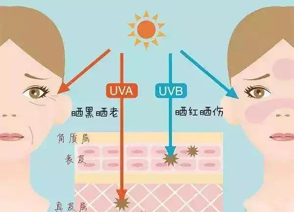 眼霜 40~50岁女人不想被贴“中年妇女”标签,建议要养成这几个好习惯。