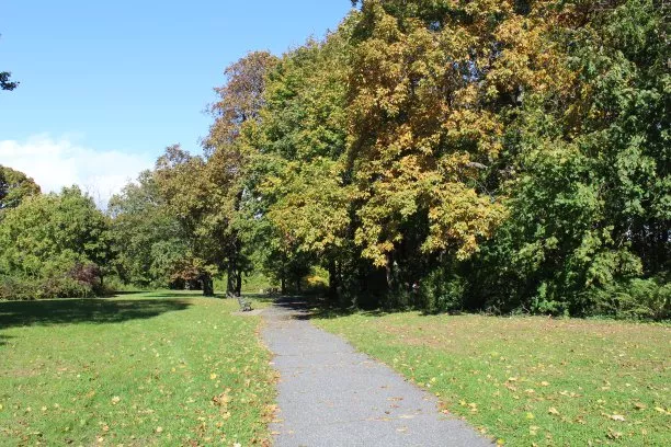 寡妇花半天给女儿修好家具，半天给女儿修好家具，父母很着急