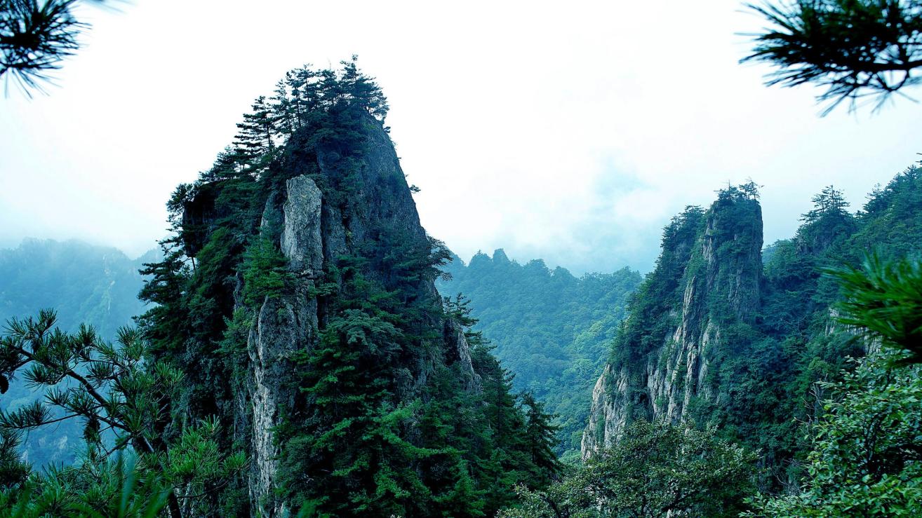 |工作中，领导不会听着自己唠叨，更不会听着自己说话