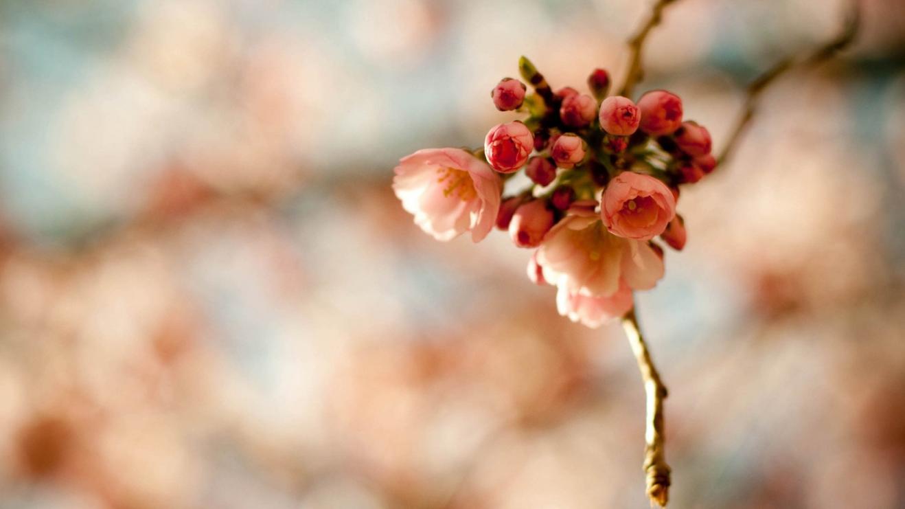 女孩 女性对自身外表越来越看重