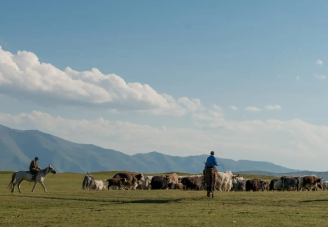 梅州|气势壮阔的草原,何止是牛羊的世界,分明也是蒙古族牧民的天堂!