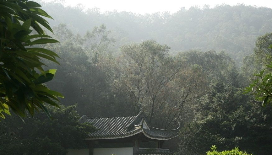 诗人隐居山林,却被两个女子成全了终身大事。