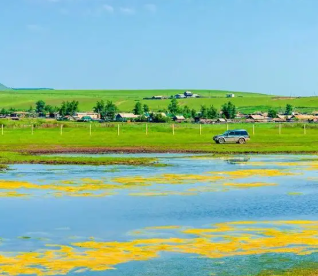 白菜|三句话治好我的精神内耗心理辅导,缓解精神疲惫