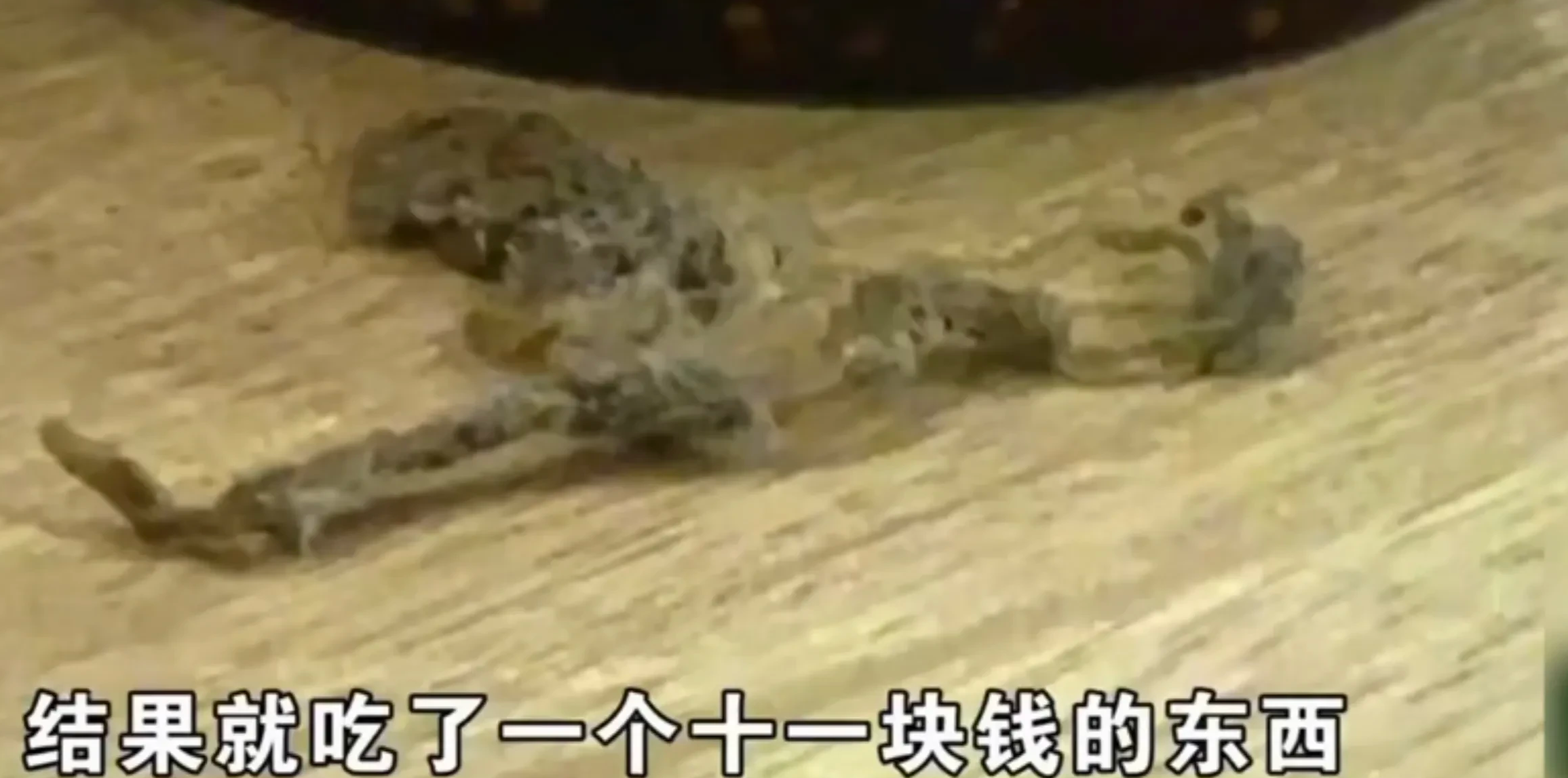 一小伙在饭店中吃出抹布,老板死活不认,非说是正常操作。事后,小伙决定给对方一个教训
