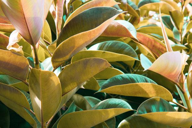 旧爱|两周以后，以心为笔，情入暮云间，偶遇旧爱，追回前任，各生欢喜