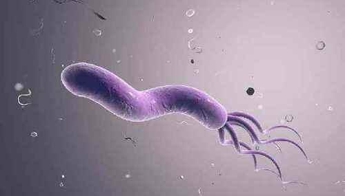 失眠|分享慢性胃炎痊愈经验,从生病到康复,如今已经全好了!