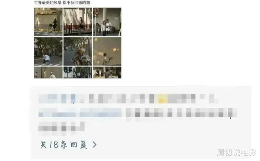 张子枫|张子枫和赵今麦的“娱乐圈之路”，为什么越走越不同？
