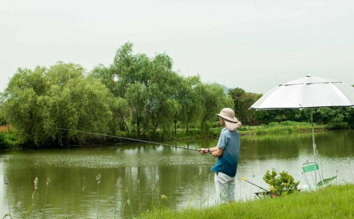 饵料|同样都是钓鱼,为什么自己是光头?而别人却满载而归!