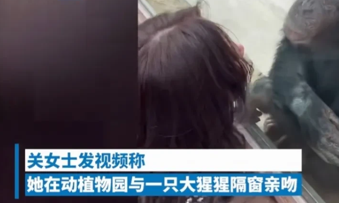 笑不活了!原来“出轨”并不只是人类的专利!