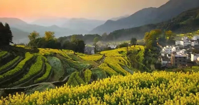 徽州|那美轮美奂的景致,那撩人的线条,美得让你会感到莫名的心疼