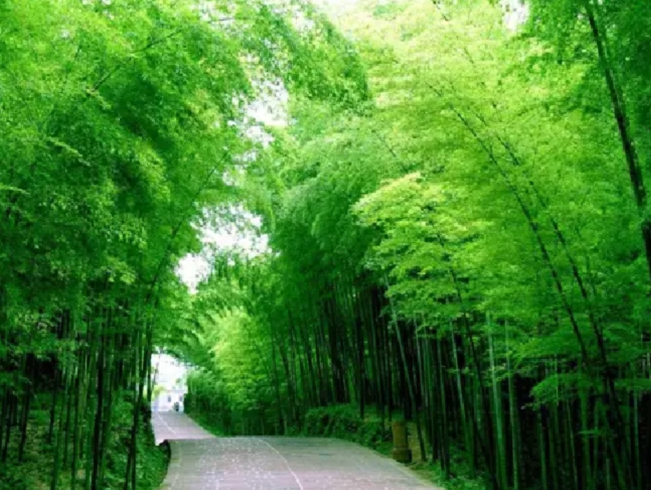 旅行|避暑胜地,重渡沟的美好生活,栾川好去处