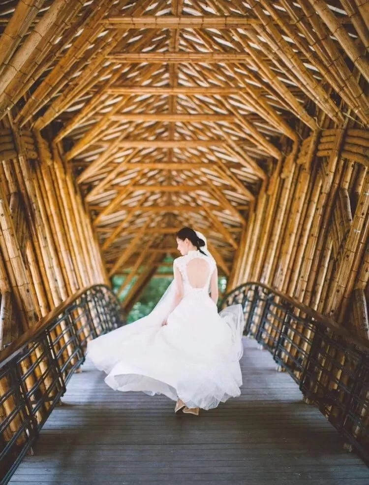 荷花|惠州藏着一片绝美的世外桃源,梦中的度假胜地,连明星都爱不释手