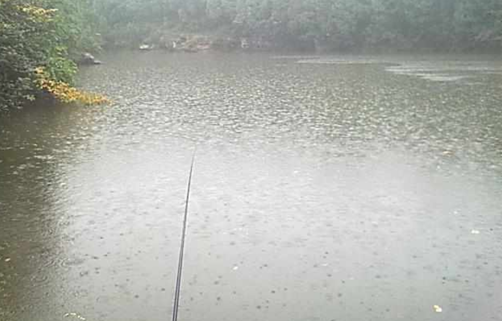 疯狂|一个长期钓鱼的人，对钓鱼有多“疯狂”？你是否也有这样的情况？