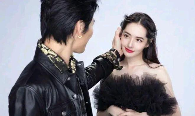 陈岚|难道真的误会向太陈岚了？