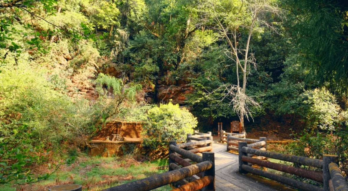 古镇|烟雨风景中的美景，不仅能看到古镇，更能看到梦幻的大山景色