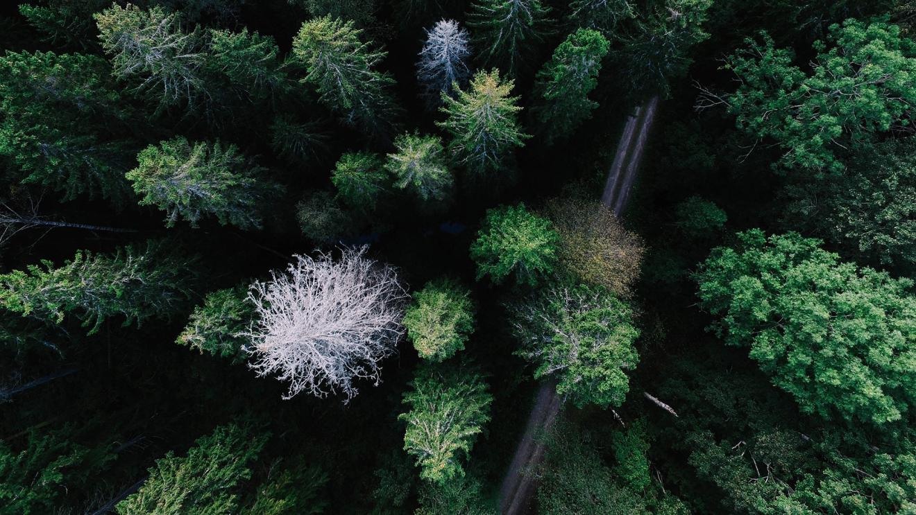 |职场上领导喜欢的几种人,工作狂认为,世界上没有完美,只有最优