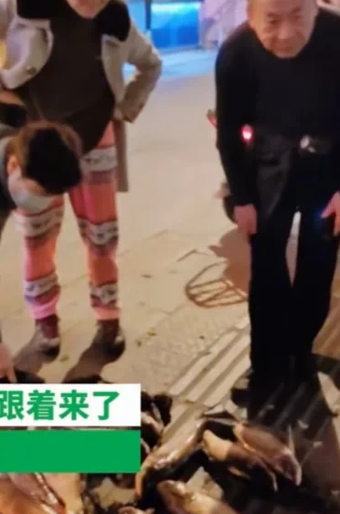 安徽滁州,一女子带着3岁孩子在街头卖鱼,万万没想到萌娃也会做生意
