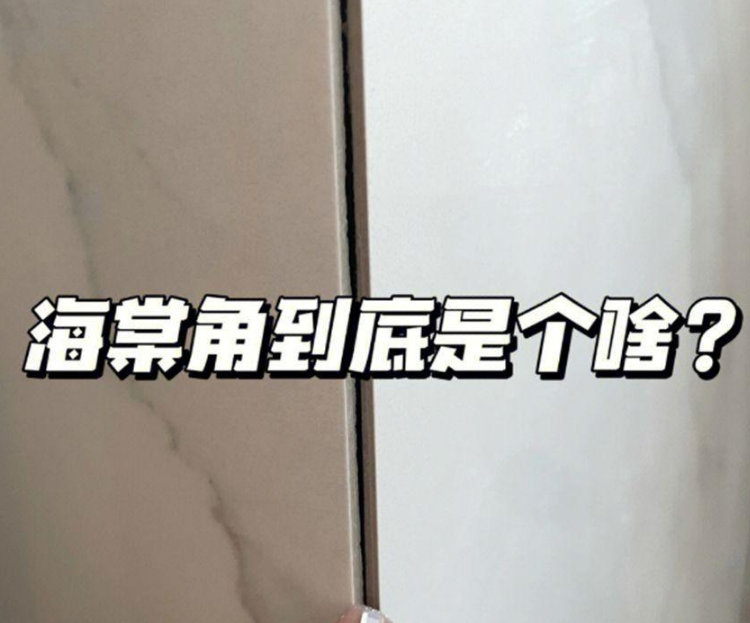 为什么“海棠角”越来越受欢迎？看完它的3大优势，你就懂了