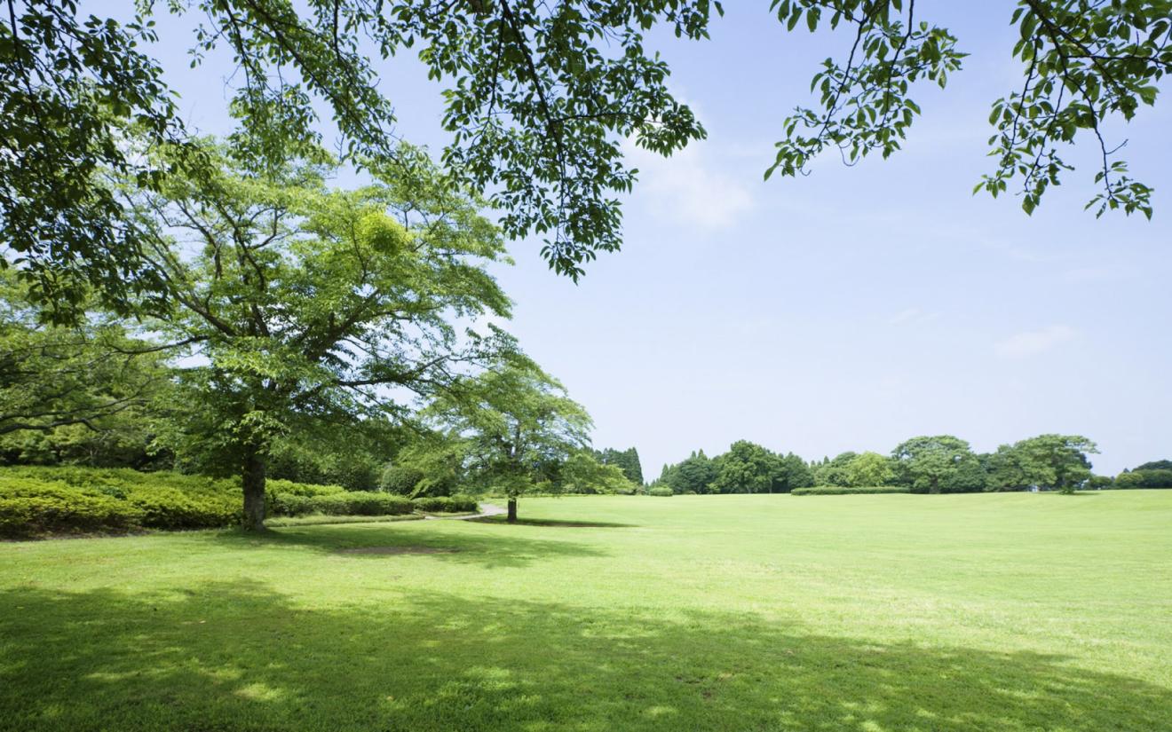 西装|财运一路飙升,贵人帮助,越来越顺,越来越有钱的4大生肖!