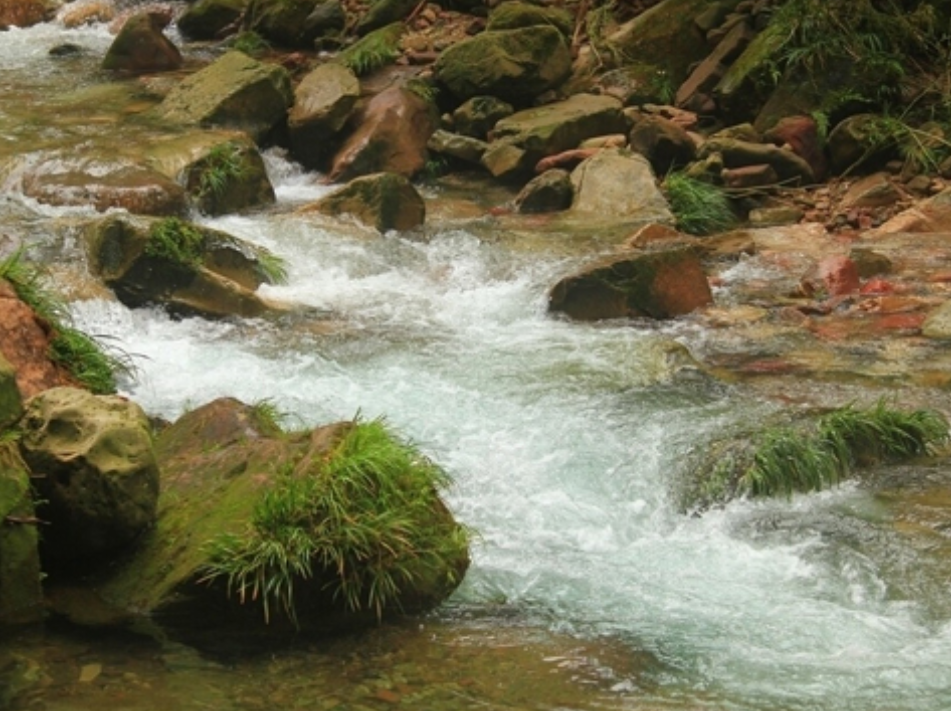 张家界|张家界爬山看景好去处，风景优美，你去过吗？