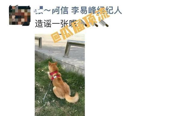 李易峰|李易峰“嫖娼事件”持续发酵:前老板在线吃瓜,经纪人发声辟谣!