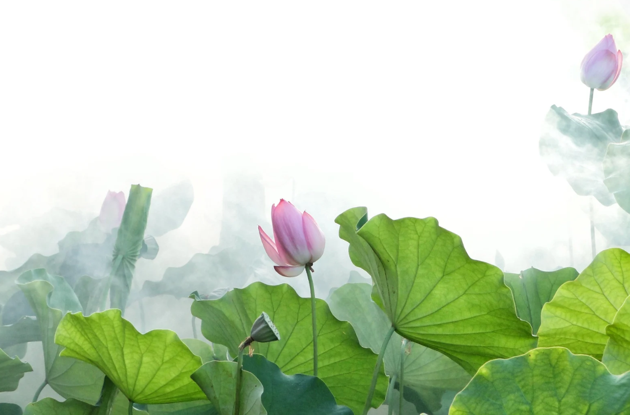 子宫肌瘤|三伏天该如何养生？有哪些养生小技巧？这几点千万别错过！