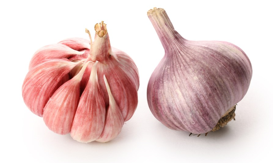 运动|大蒜可以消灭幽门螺杆菌吗?幽门螺杆菌的危害有哪些