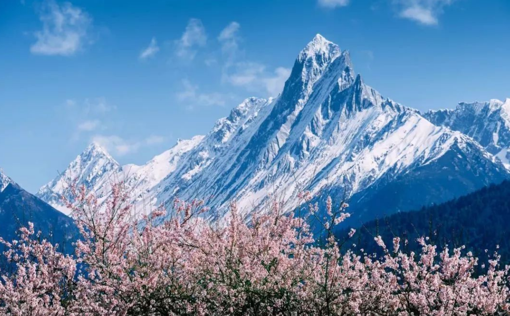 茶园|西藏有多么美? 看看西藏这个地方，你就知道了！