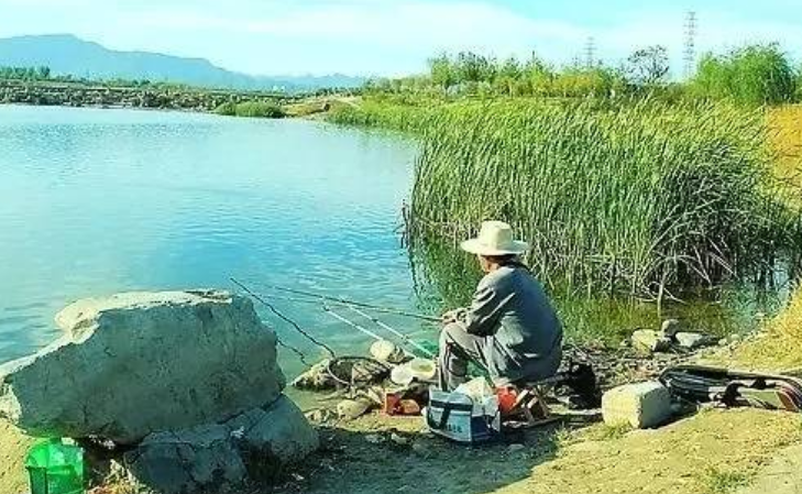 饵料|春天钓鱼的技巧你知道吗？一定要注意这四个细节，满载而归不是大问题！