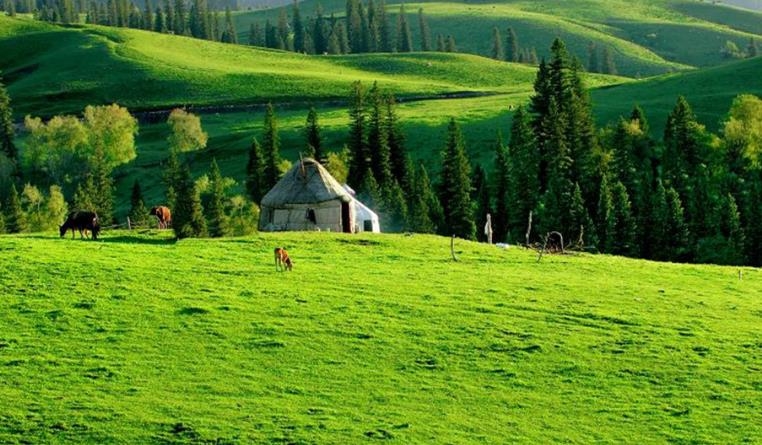 贵州|新疆太大,开车没有意义,去福海和喀纳斯那一带转转