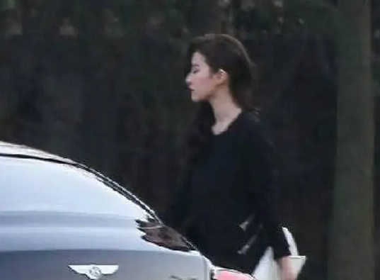 萨日娜|刘亦菲开百万豪车住千万豪宅，她有多豪？