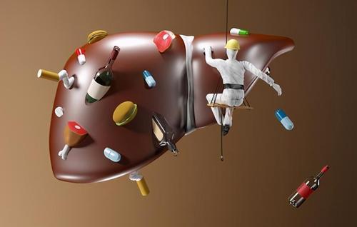 长寿|为什么肝癌总是在晚期才被发现?哪些症状可能是肝癌?