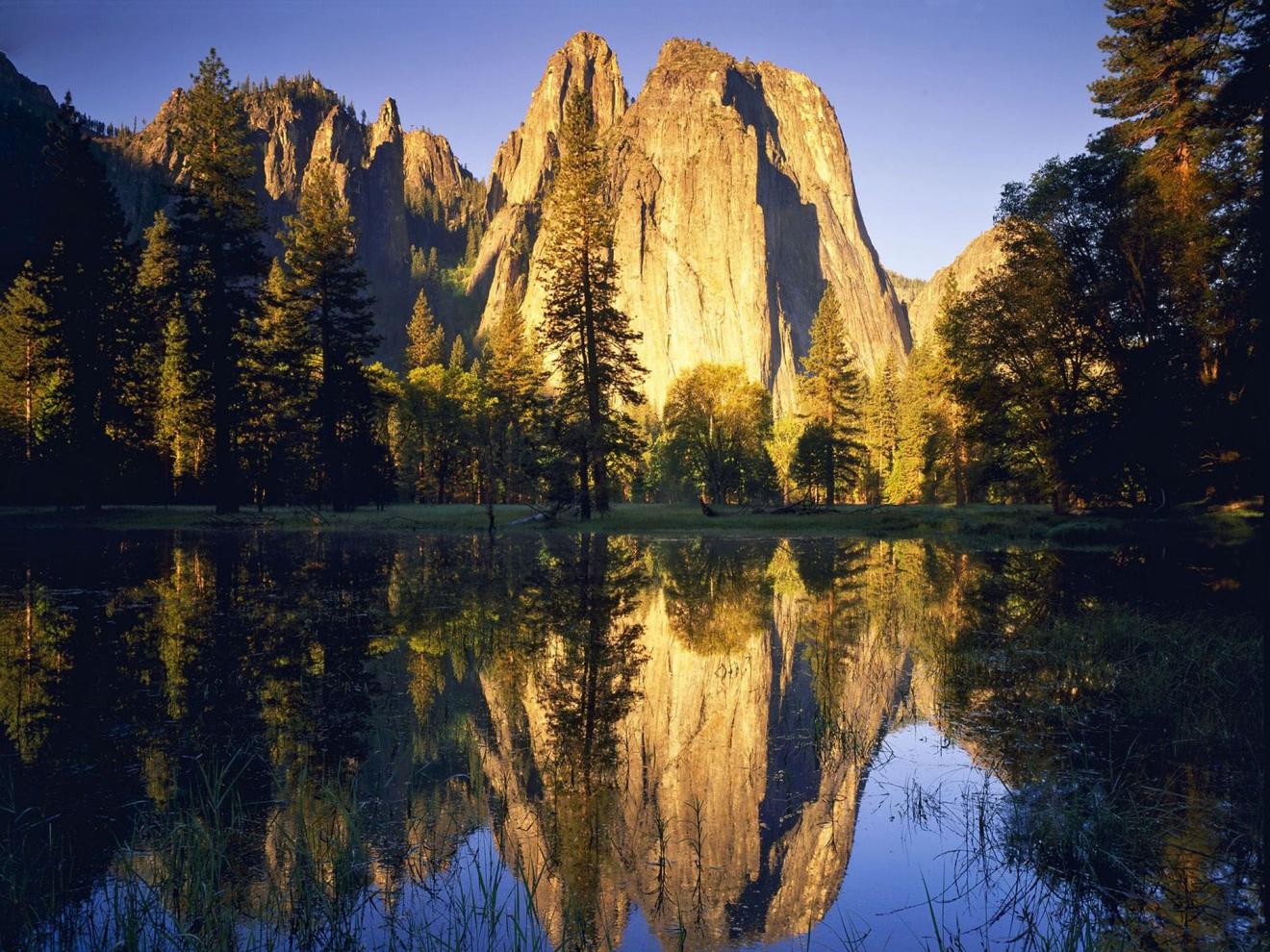 |老板口头禅:多做事,少说话